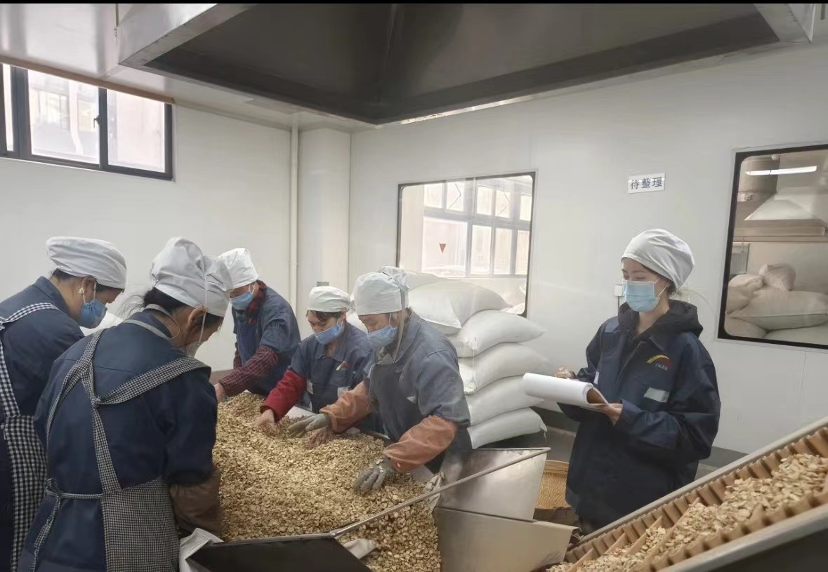 Qingdao Biohoer Biotech Co., Ltd. oficjalnie rozpoczął budowę