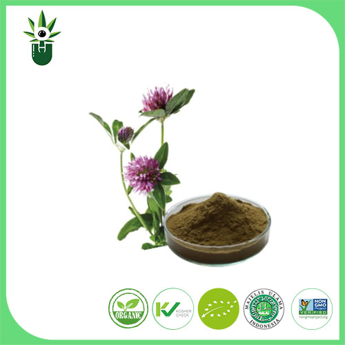 Ekstrakt Medicago sativa L